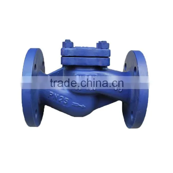 DN200 Lift Check Valve Cf8m From China Supplier photo-2