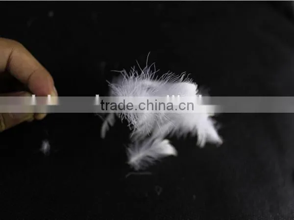 Factory Price 2-4cm Washed White Goose Feather fo Selling photo-3