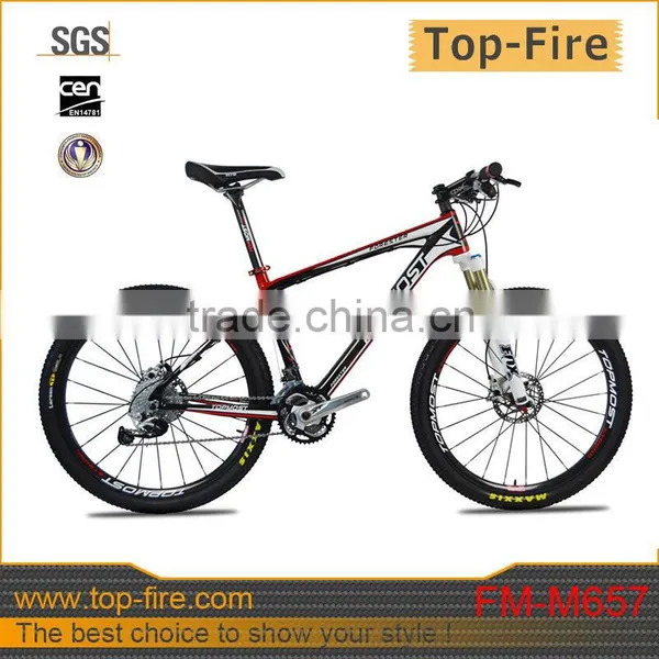2014 Hot Selling MTB Carbon Complete Bike for Sale