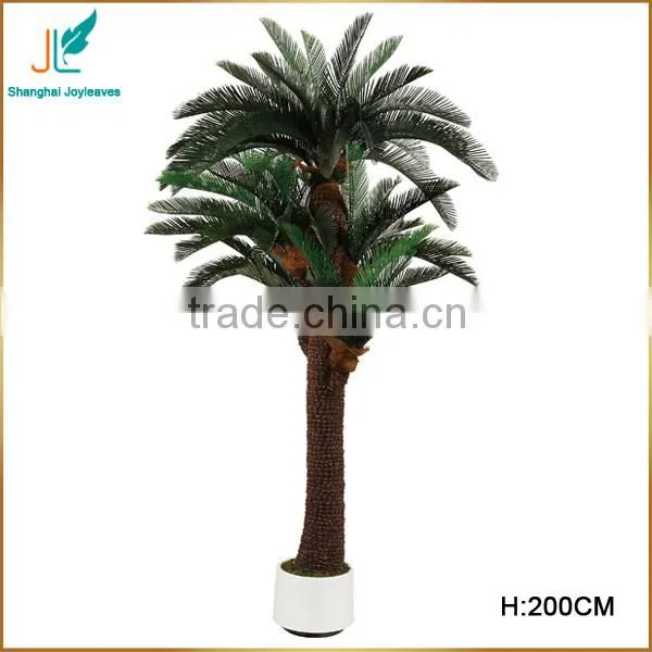 Customized Evergreen Artificial Cycas Revoluta Tree for Sale in Stock photo-5