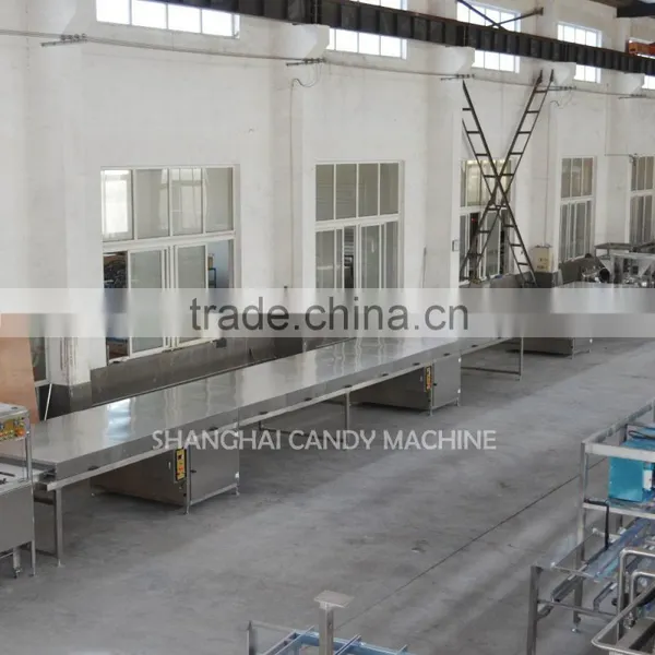 Chocolate Coating Line in Shanghai Confectionery Machinery photo-6