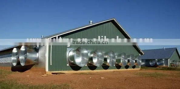 Automatic Equipment and Chicken Shed Design photo-2