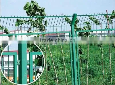 HOT Product High Quality Welded Fence / Mesh Fence / Security Fencing With CE Certificate Factory Price