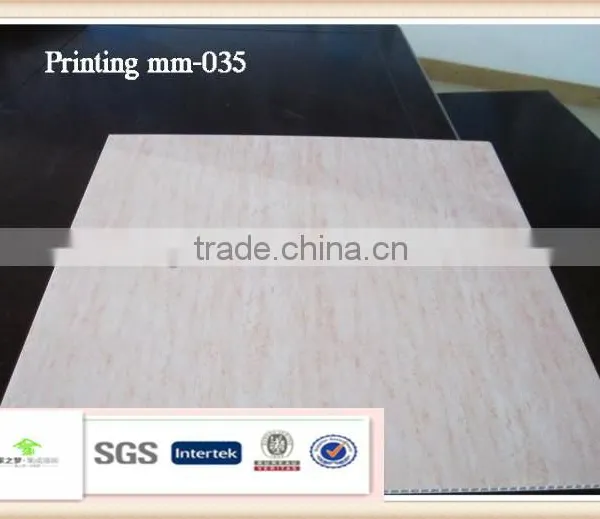 2016 Full Specification Suspended Ceiling Tiles 60x60 photo-6
