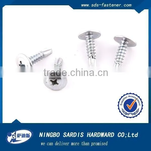 China Screw Manufacturer Screw Press 316ss Screw CSK Self Tapping Screw photo-3