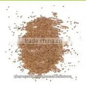 Lucerene Seeds (Medicago Sativa, Alfalfa Seeds) photo-2