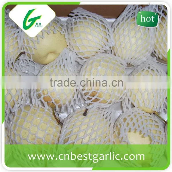 HACCP Passed. Chinese Bulk Export Fresh ya Pear photo-5