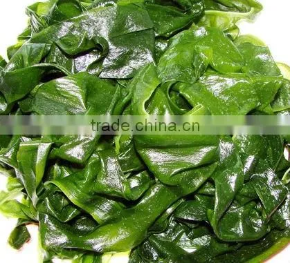 Dried Kelp Fresh Kelp