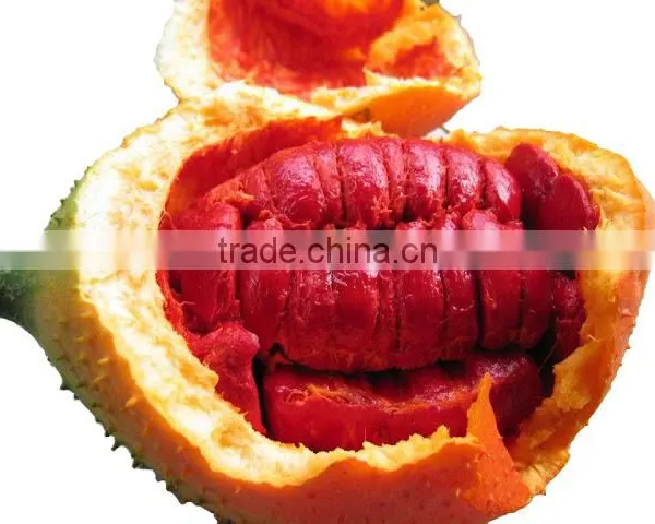 Yobe Pure Gac - the Best Quality Gac Oil for Health & Beauty photo-4