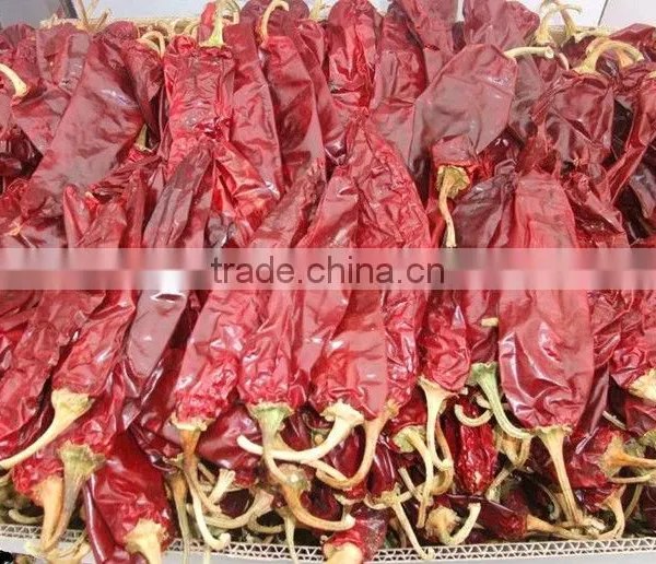 HACCP FDA KOSHER Certified Sweet Whole Paprika Pods photo-4