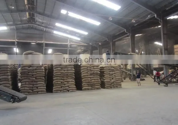 FULLY WASHED ROBUSTA COFFEE BEANS S15 photo-3
