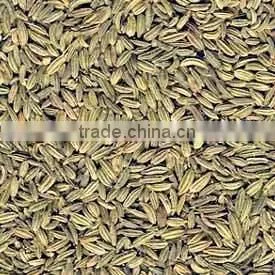 Best Quality Fennel Seeds at Best Price photo-2