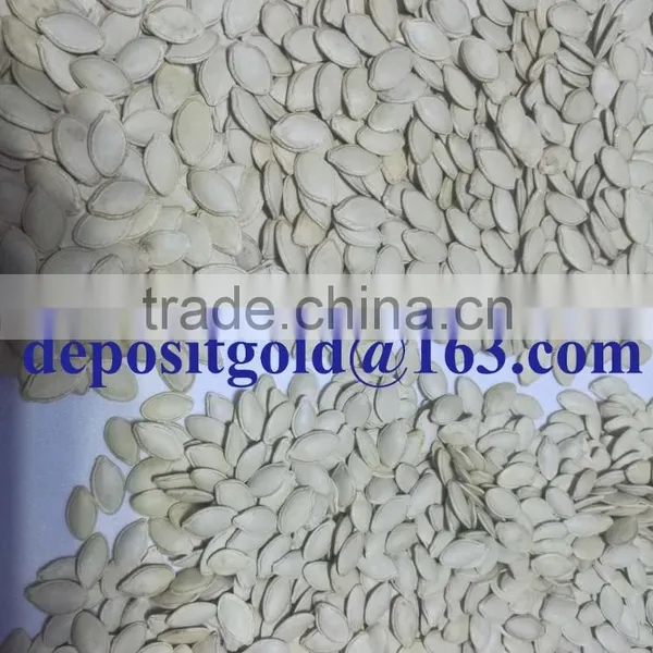 Export Grade Pumpkin Seeds in Shell photo-3