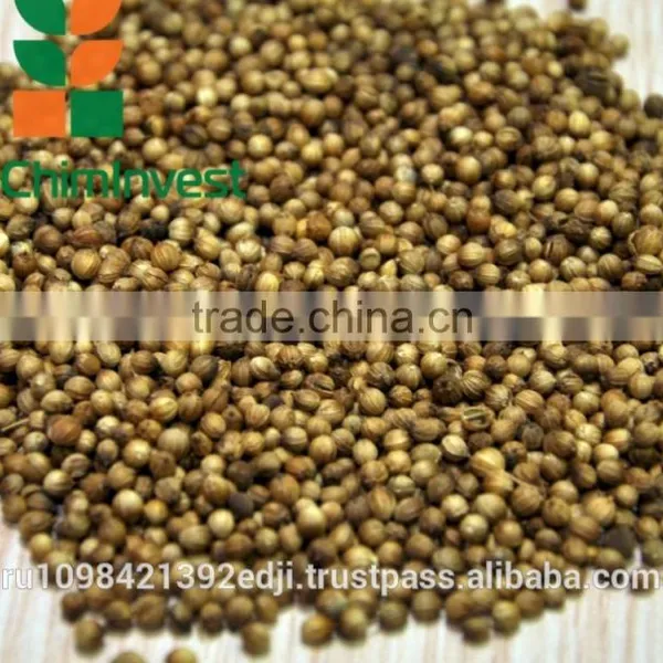 Coriander Seeds