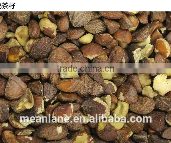 no Fertilizer & no Pesticide Camellia Oil Seed/tea Seed USDA NOP Organic Certificate photo-3