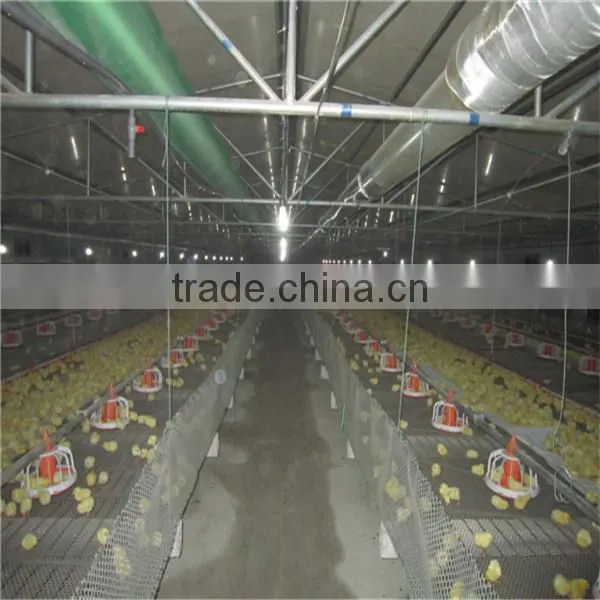 Automatic Chick House Design photo-4