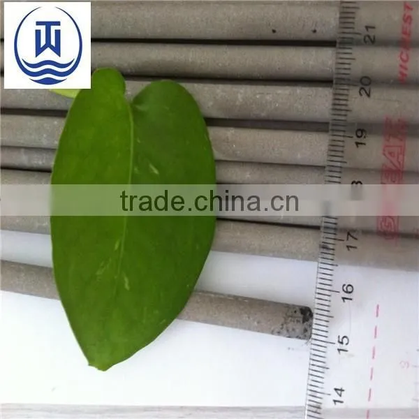 Aluminium Welding Rod,titanium Welding Rod,silver Welding Rod photo-3