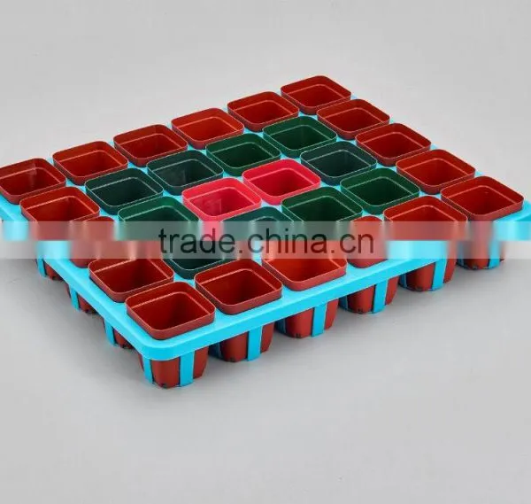 Flower Pot for Succulent Plant photo-5