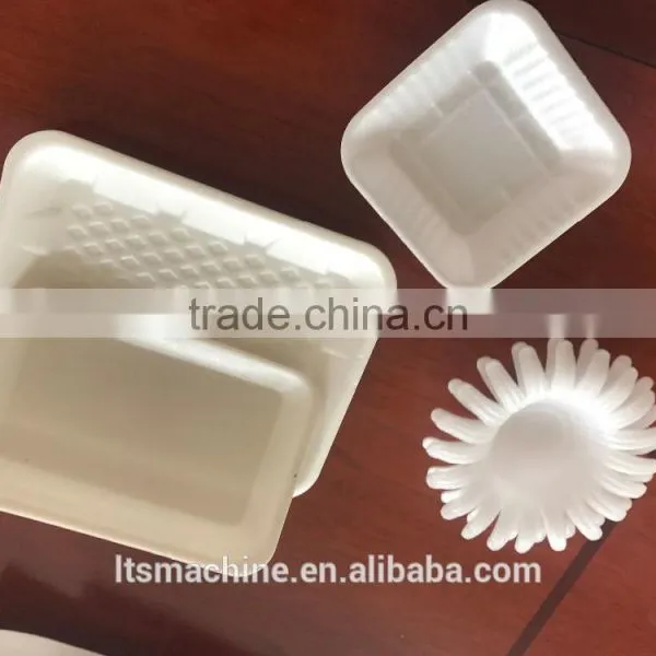 Chinses Hot Sale Plastic Fruit Container Vacuum Forming Machine photo-3