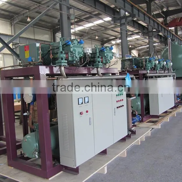 Unique Style Hot Sale Copeland Screw Parallel Compressor Unit photo-2