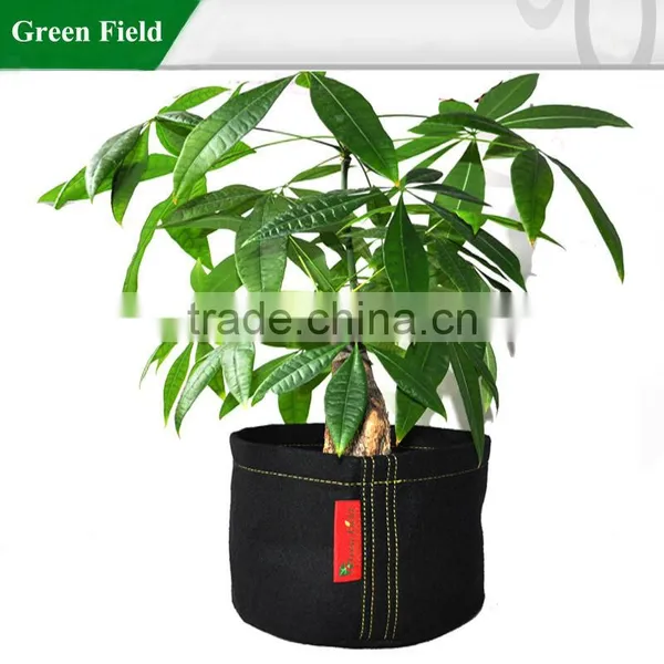 Green Field Urban Garden Plant Bags photo-2