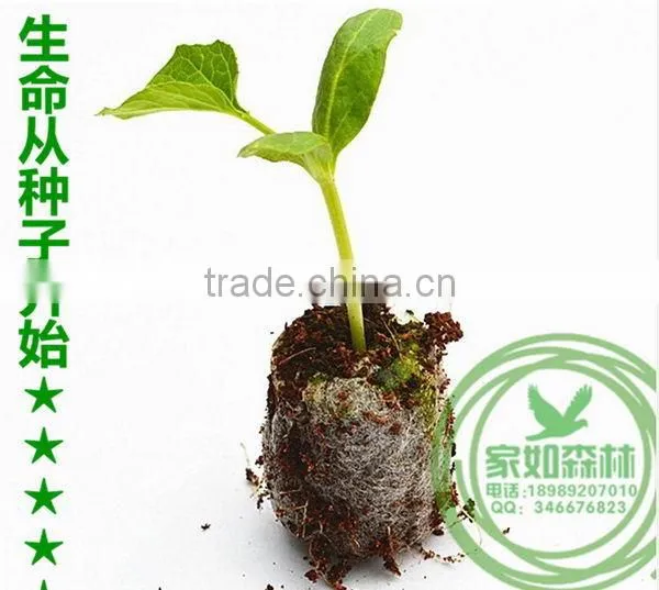China Manufacture Excellent Quality Best Price Cell Seed Tray photo-6