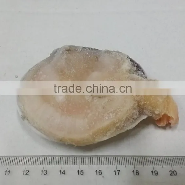 Raw Frozen Half-shell Huge Clam photo-2