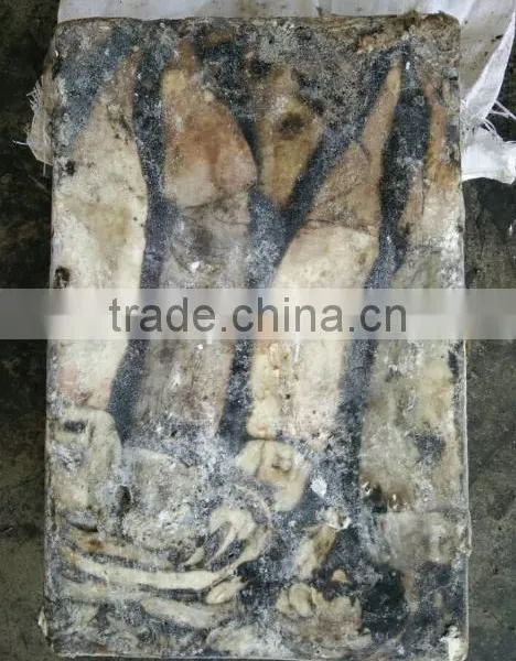 Frozen Peru Squid Wholesale photo-5