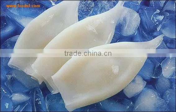 Frozen Wholesale Squid Tube u5 u7 U10 photo-3