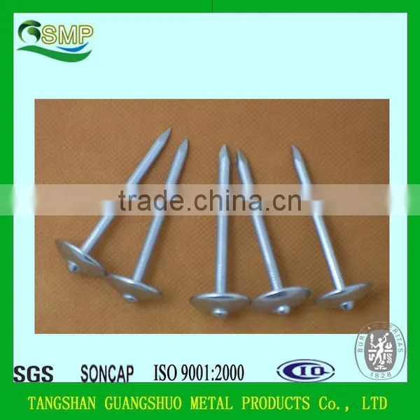 Direct Factory High Quality Rubber Washer Roofing Nails/plastic Washers for Roofing Nails photo-5