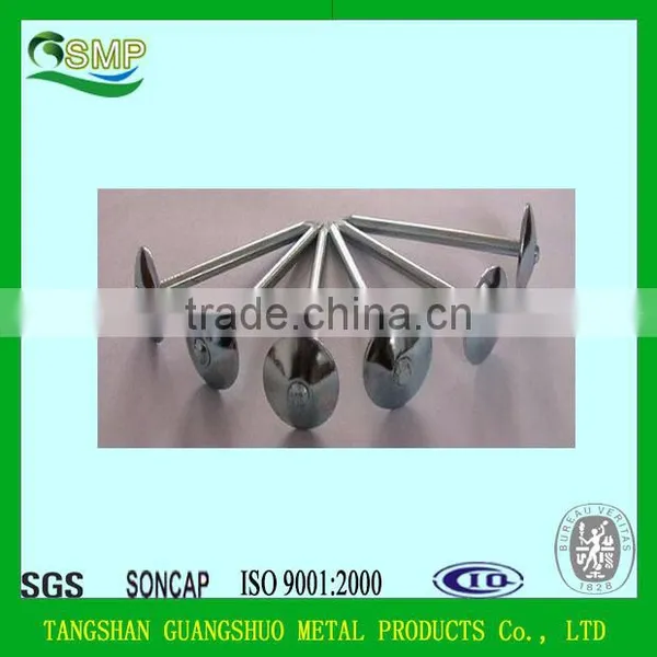 Umbrella Head Galvanized Roofing Nails With Rubber Gasket photo-4