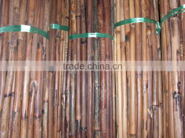 Raw Rattan Red Malacca Canes photo-5