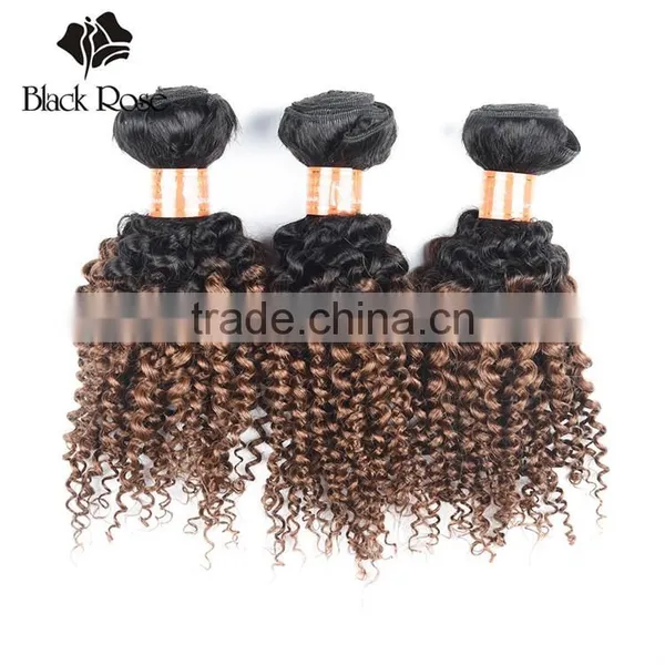 8A Perfect 100% Unprocessed Kinky Curly Virgin Hair, Wholesale Unprocessed Virgin Malaysian Hair photo-4