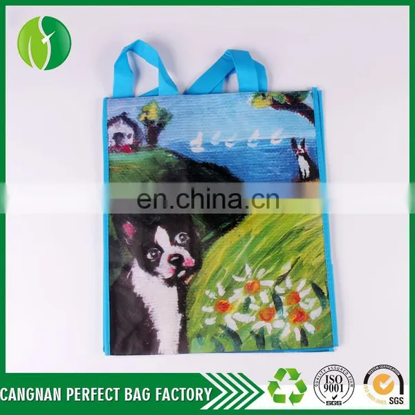 Customize Cheap Price Eco-Friendly And Heavy Duty Non Woven Reusable Printing Shopping Bag photo-5