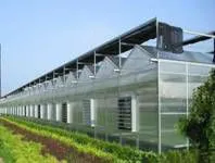 10mm PC Sheet Commercial Greenhouse for Hydroponic Farming photo-4