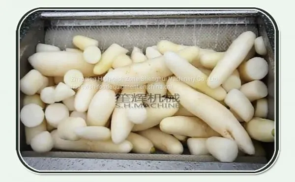 Commercial Fish Scale Peeling Machine Sweet Potato Taro Radish Ginger Peeling Machine photo-5