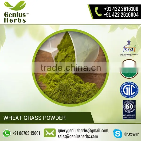 100% Water Soluble Organic Green Wheat Grass Powder for Sale photo-4