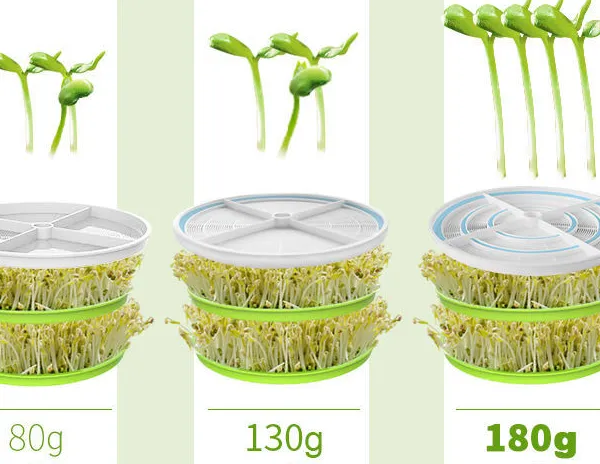 Supply OEM/ODM Bean Sprout Machine photo-2