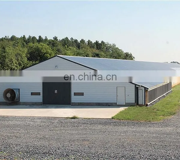High Strength Multi-span Chicken House Steel Structure Chicken Farm Poultry House photo-2