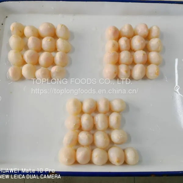 Canned Lychees in Syrup photo-2