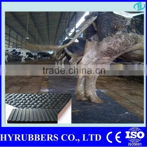 China Horse Mat Cow Mat Stable Mat Rubber Mat photo-6