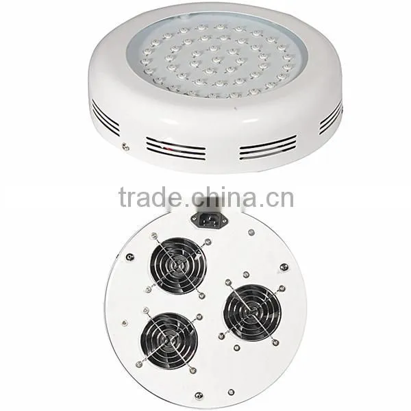 Indoor Farming Low Price Led Light for Pumpkin Quicker Growing photo-3