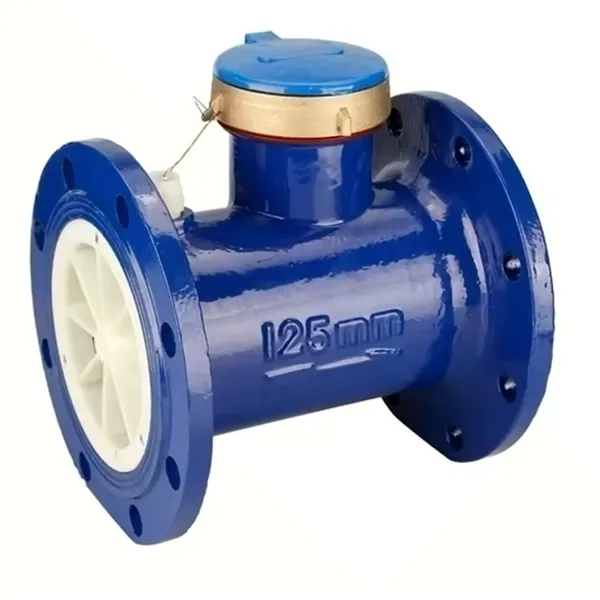 Cheap Economical Mechanical Woltman Water Meter for Large Size photo-2