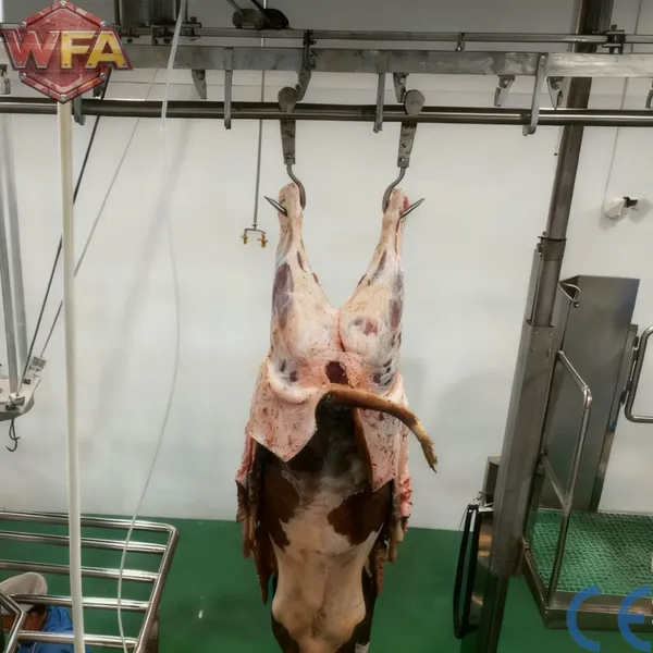 HACCP Qualified Beef Slaughtering Equipment Automatic Cattle Killing Line Abattoir Plant Machinery Custom Solution photo-2