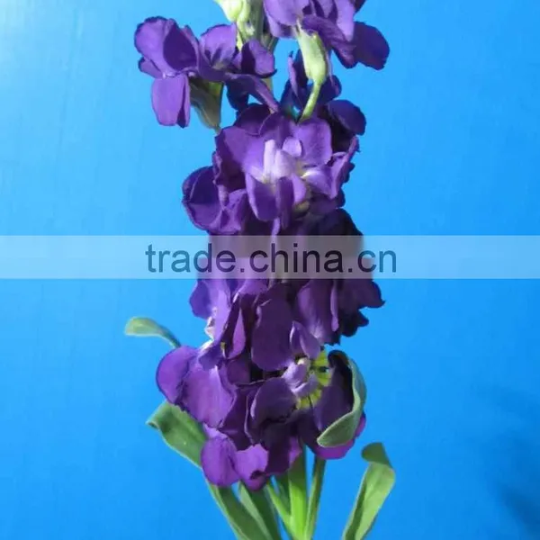 Love Theme Top Sell Best Level Purple Violets photo-6