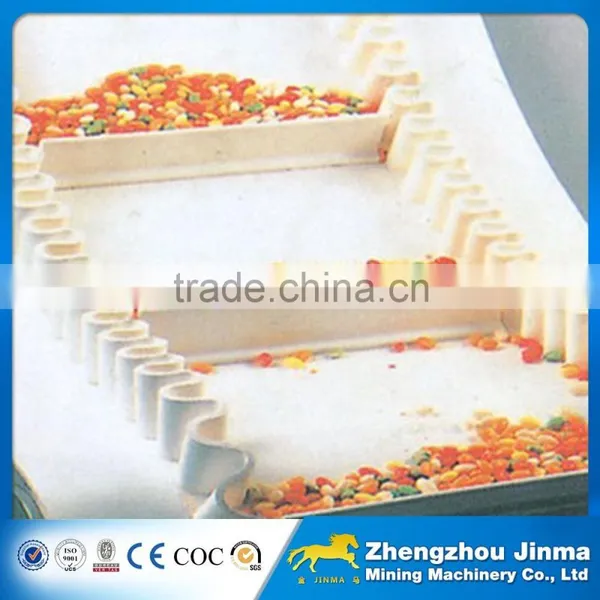 Stainless Steel Fruit Belt Conveyor Price photo-6