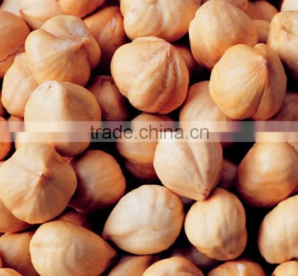 Raw Hazelnuts, Blanched Hazelnuts for sale
