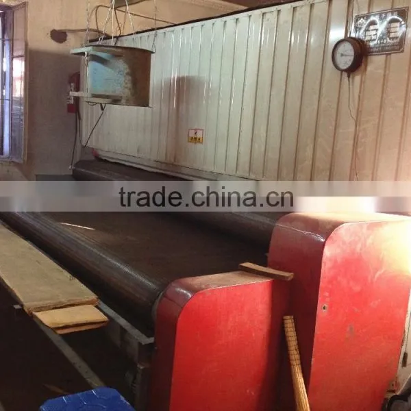 One Layer Veneer Mesh Dryer / Drier Machine photo-4