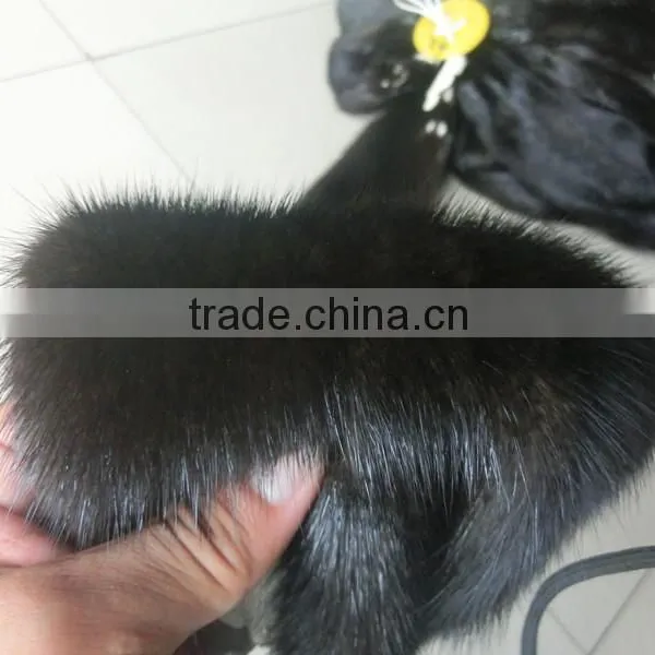 Factory Direct Black Color Sable Fur Skin / Real Tan Mink Fur Skin photo-2