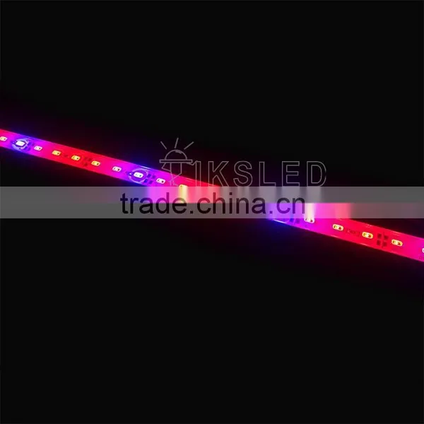 Led Strip Lights for Aquarium,led Strip Mounting Bracket,led Light Strip Wholesale photo-4